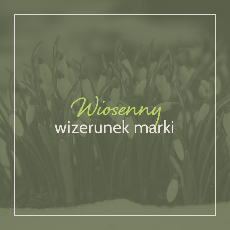 Read more about the article Wiosna, wiosna, wiosna ach to… charakterystyka wiosennego wizerunku marki.