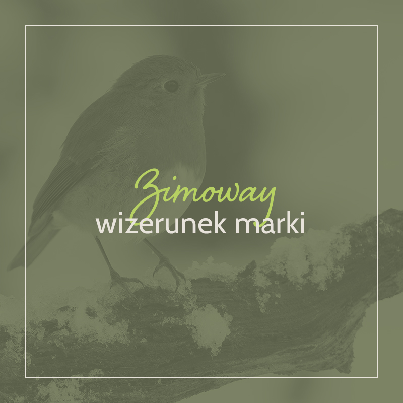 Read more about the article Luksusowo i praktycznie – poznaj pełen skrajności zimowy wizerunek marki.